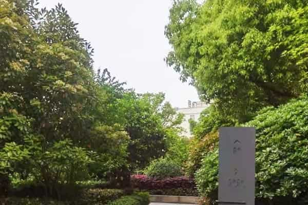 必看美术专业大学排名 2018热门院校解析