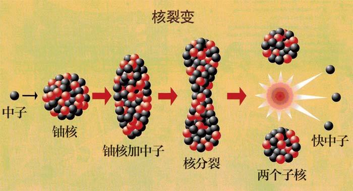 2018核工程与核技术专业全国大学最新排名