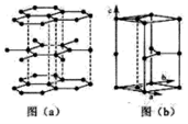 衡水中学2019高考押题卷【化学】