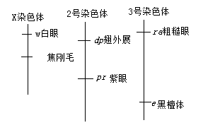 2019全国1卷高考理综试题及答案【word真题试卷】