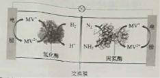 2019福建高考理综试题【word精校版】