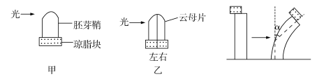 2019陕西高考理综试题及答案【word真题试卷】