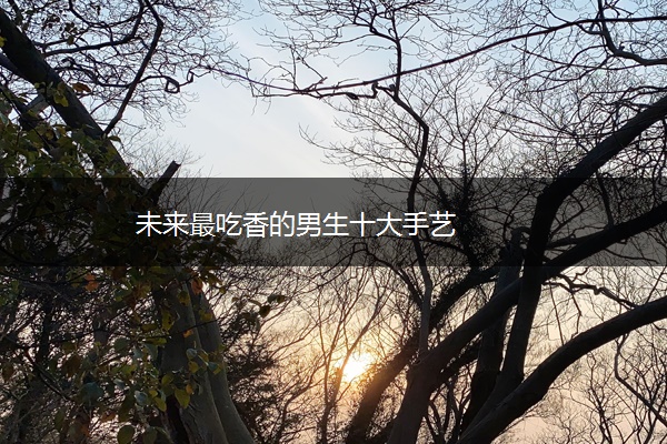 未来最吃香的男生十大手艺