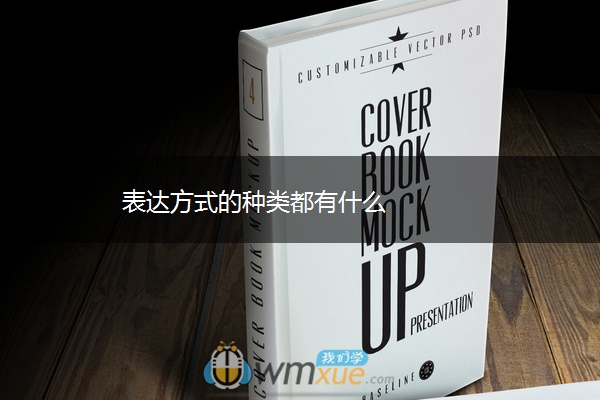 表达方式的种类都有什么