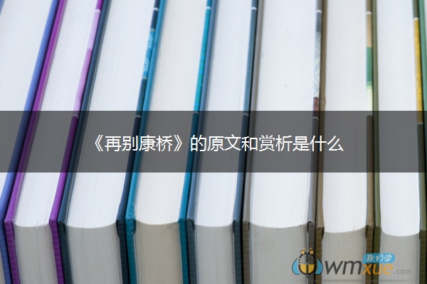 《再别康桥》的原文和赏析是什么
