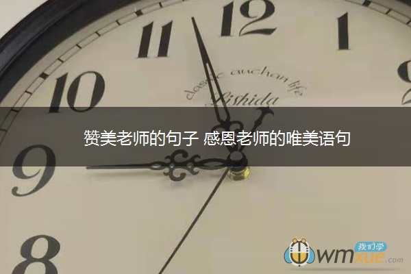 赞美老师的句子 感恩老师的唯美语句