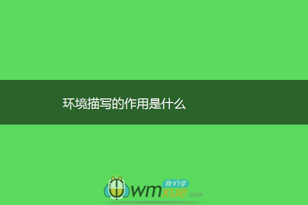 环境描写的作用是什么