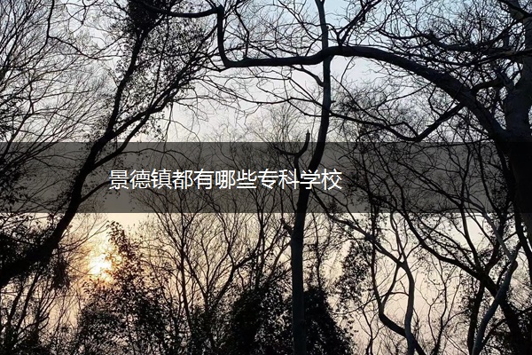 景德镇都有哪些专科学校