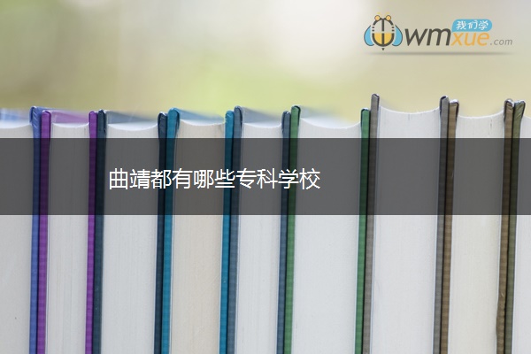 曲靖都有哪些专科学校