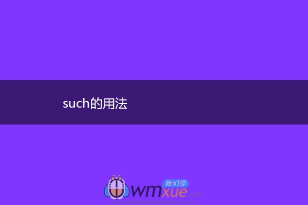 such的用法