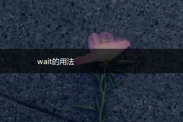 wait的用法