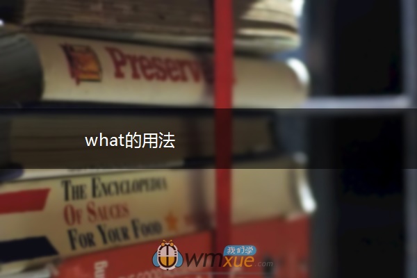 what的用法