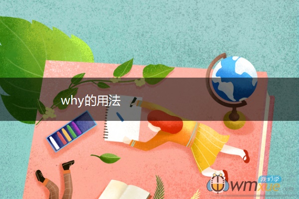 why的用法