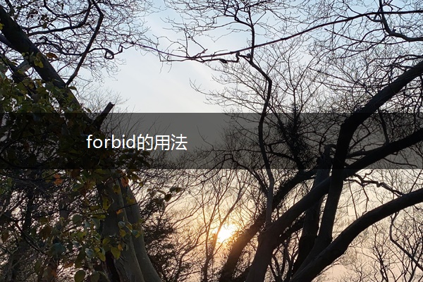 forbid的用法