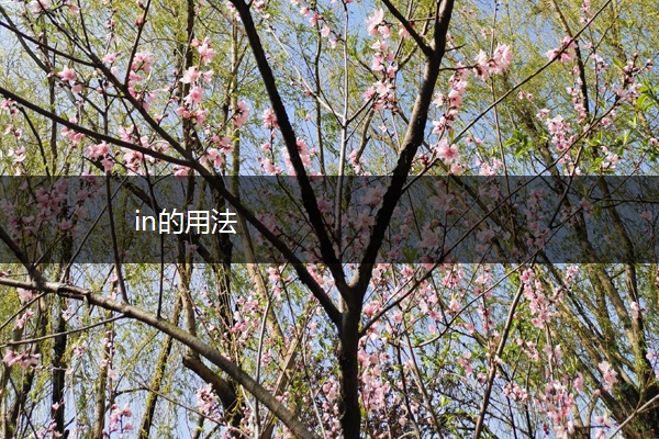 in的用法