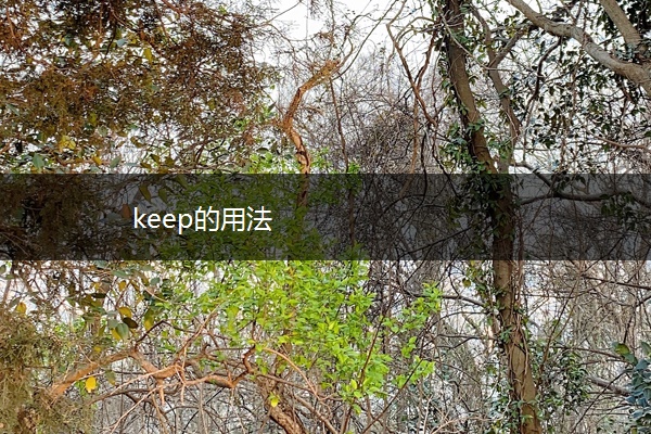 keep的用法