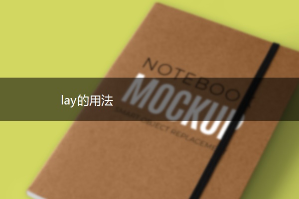 lay的用法