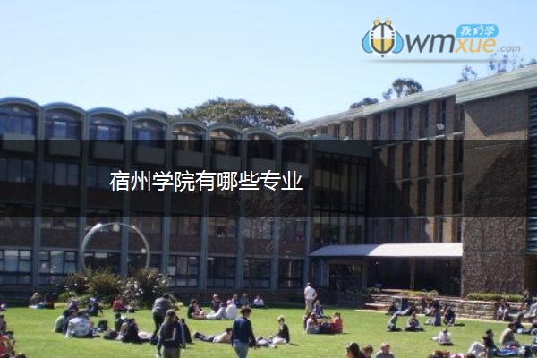 宿州学院有哪些专业