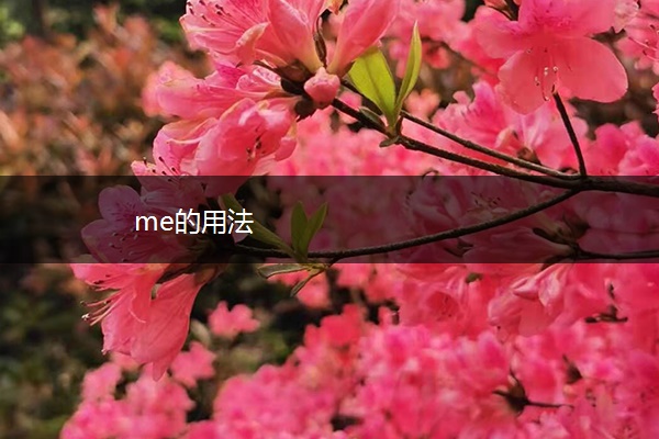 me的用法