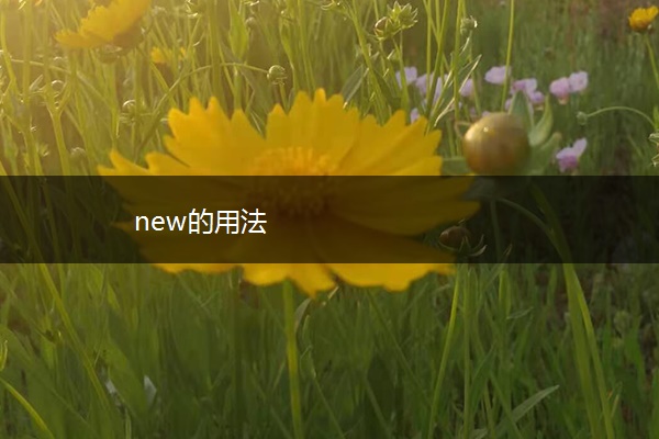 new的用法