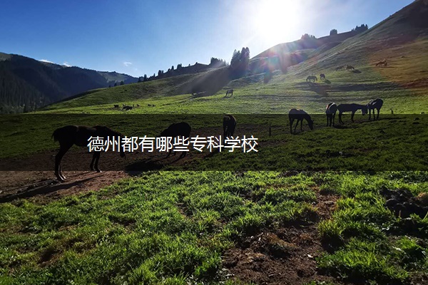 德州都有哪些专科学校