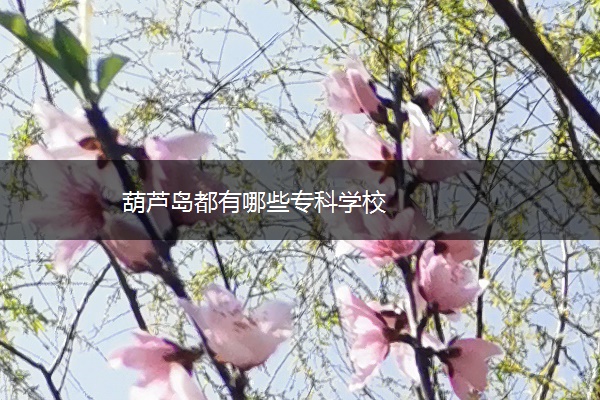 葫芦岛都有哪些专科学校