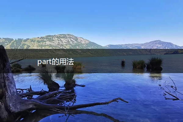 part的用法