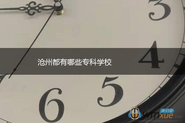 沧州都有哪些专科学校