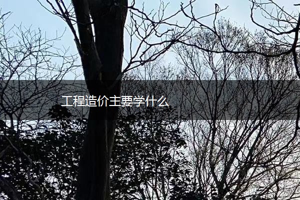 工程造价主要学什么