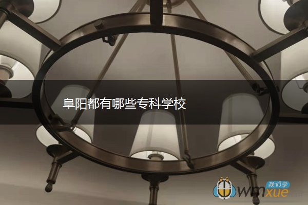 阜阳都有哪些专科学校