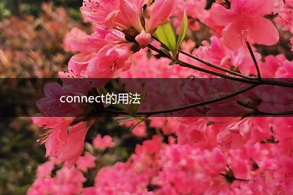 connect的用法