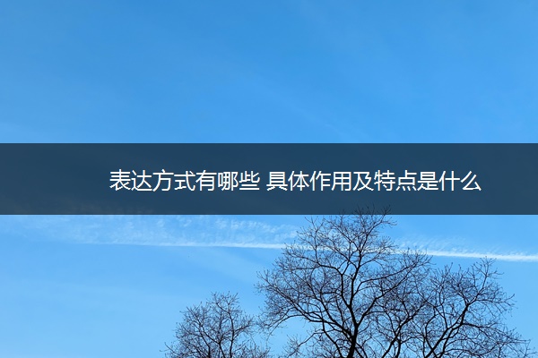 表达方式有哪些 具体作用及特点是什么