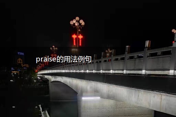 praise的用法例句