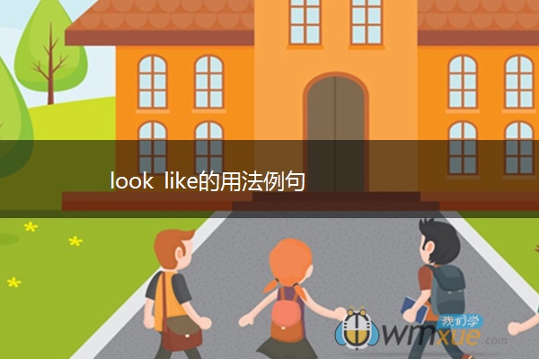 look like的用法例句