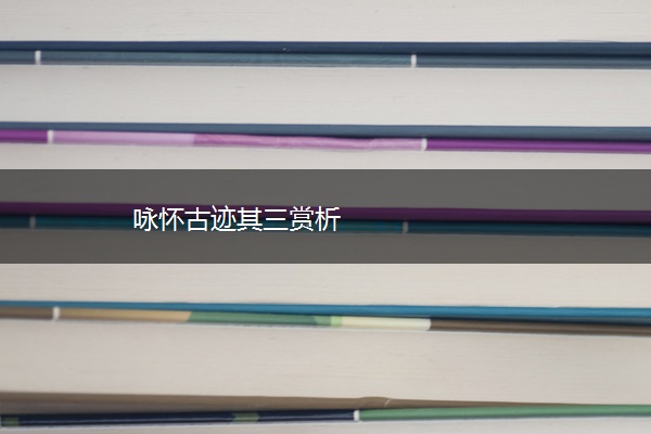 咏怀古迹其三赏析