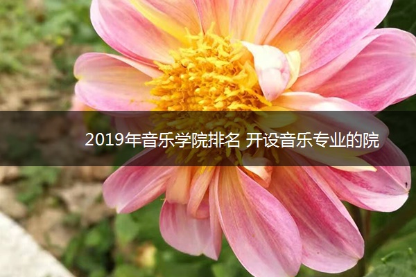 2019年音乐学院排名 开设音乐专业的院校名单