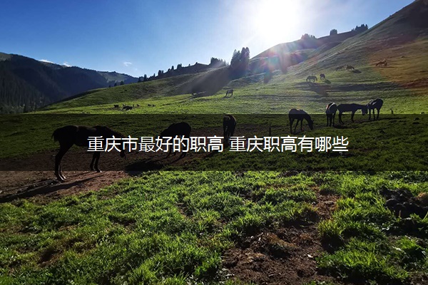 重庆市最好的职高 重庆职高有哪些