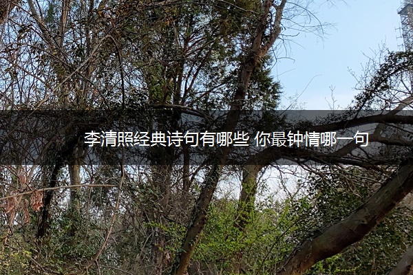李清照经典诗句有哪些 你最钟情哪一句