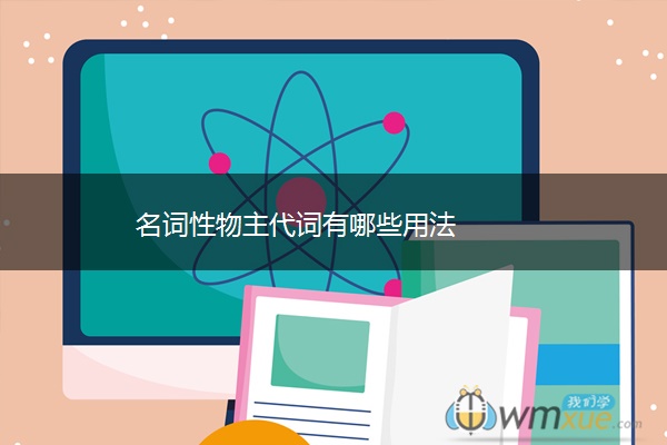 名词性物主代词有哪些用法
