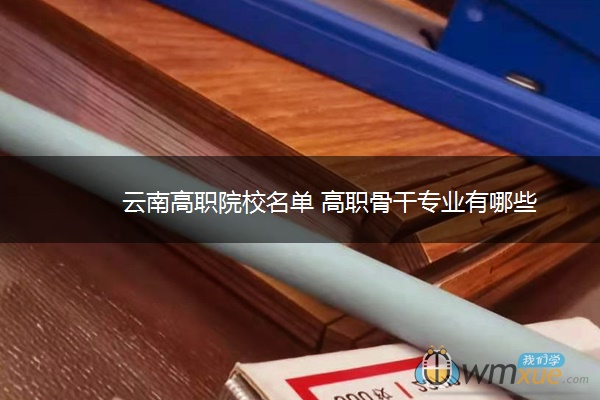 云南高职院校名单 高职骨干专业有哪些