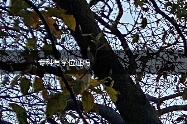 专科有学位证吗