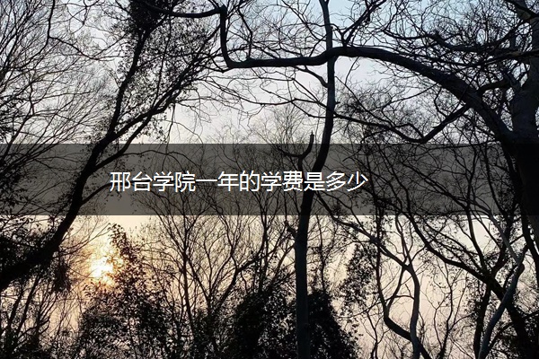 邢台学院一年的学费是多少