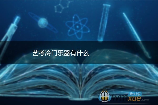 艺考冷门乐器有什么