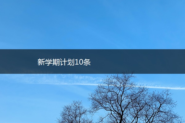 新学期计划10条