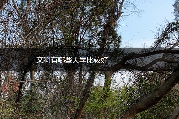 文科有哪些大学比较好