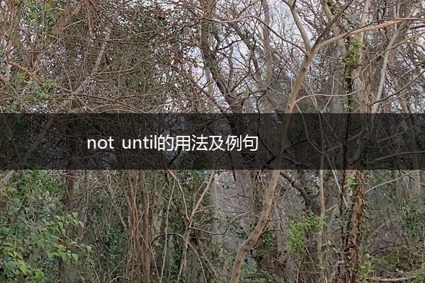 not until的用法及例句