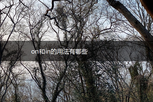 on和in的用法有哪些