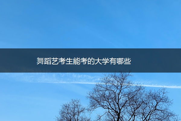 舞蹈艺考生能考的大学有哪些