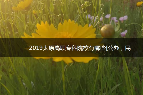 2019太原高职专科院校有哪些[公办，民办]