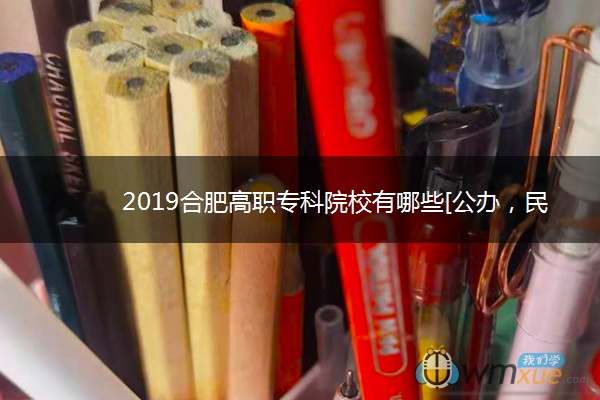 2019合肥高职专科院校有哪些[公办，民办]